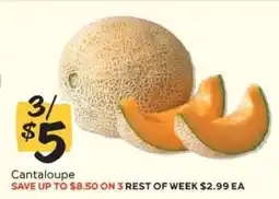 Winn Dixie Cantaloupe offer