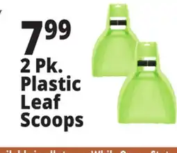 Ocean State Job Lot Plastic Leaf Scoops 2-Count offer