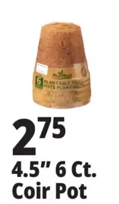 Ocean State Job Lot PlantBest Plantable 4.5 Coconut Coir Pots 6 Count offer