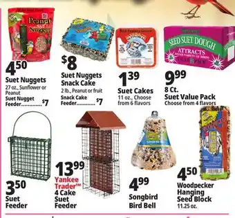 Ocean State Job Lot Bird Suet offer