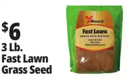 Ocean State Job Lot X-Seed Fast Lawn Grass Seed Mixture 3 lbs offer