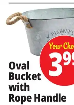 Ocean State Job Lot Galvanized Oval Planter with Rope Handles offer