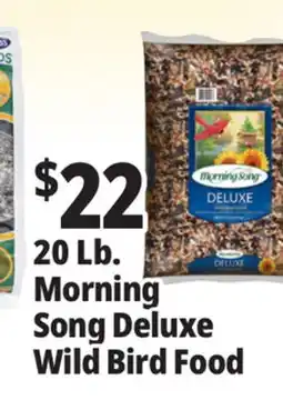 Ocean State Job Lot Morning Song Deluxe Wild Bird Food 20 lbs offer