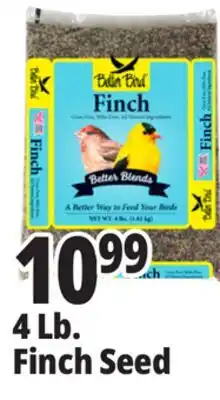 Ocean State Job Lot Better Bird Finch Bird Food 4 lbs offer