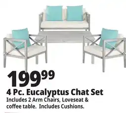 Ocean State Job Lot 4 Pc. Eucalyptus Chat Set offer
