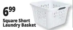 Ocean State Job Lot Square Short Laundry Basket offer