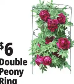 Ocean State Job Lot Peony Double Ring Plant Support 18 x 36 offer