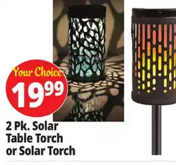 Ocean State Job Lot 2 Pk. Solar Table Torch or Solar Torch offer