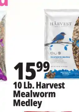 Ocean State Job Lot 10 Lb. Harvest Mealworm Medley offer
