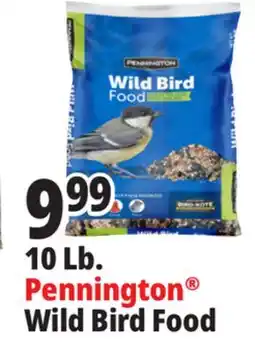 Ocean State Job Lot Pennington Wild Bird Food 10 lbs offer