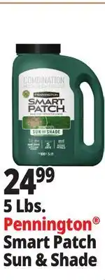 Ocean State Job Lot Pennington Smart Patch Grass Seed Fertilizer Mulch 5 lbs offer