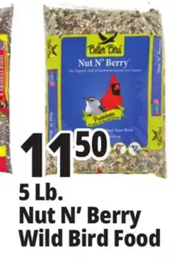 Ocean State Job Lot Better Bird Premium Nut N' Berry Bird Food 5 lbs offer