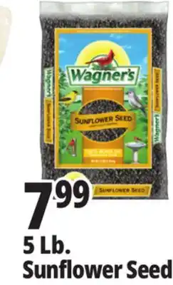Ocean State Job Lot Wagner's Black Oil Sunflower Seed Wild Bird Food 5 lbs offer