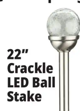 Ocean State Job Lot Solar Crackle LED Garden Stake 22 offer
