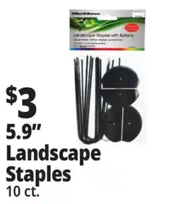 Ocean State Job Lot Tiller & Rowe Landscape Staples with Buttons 10 Count offer