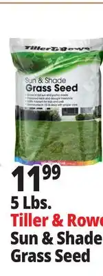 Ocean State Job Lot Tiller & Rowe Sun & Shade Grass Seed 5 lbs offer