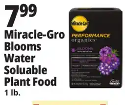 Ocean State Job Lot Miracle-Gro Blooms Water Soluable Plant Food offer