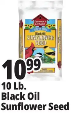 Ocean State Job Lot 10 Lb. Black Oil Sunflower Seed offer