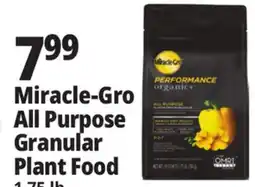 Ocean State Job Lot Miracle-Gro All Purpose Granular Plant Food offer
