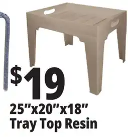 Ocean State Job Lot 25x20x18 Tray Top Resin offer