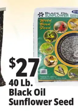 Ocean State Job Lot Black Oil Sunflower Seeds 40 lbs offer