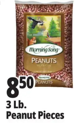 Ocean State Job Lot Audubon Peanut Pieces Bird Seed 3lb offer