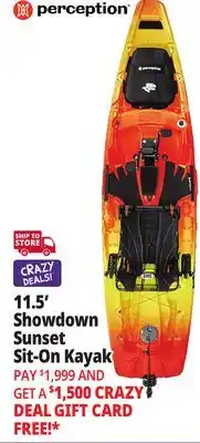 Ocean State Job Lot Perception Showdown 11.5 Fishing Pedal Kayak Dapper offer