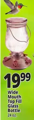 Ocean State Job Lot Perky Pet Top Fill Glass Hummingbird Feeder 24 oz offer