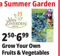 Ocean State Job Lot Grow Your Own Fruits & Vegetables offer