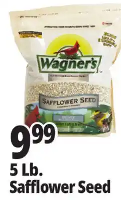 Ocean State Job Lot Wagner's Safflower Seed Deluxe Wild Bird Food offer