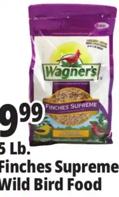 Ocean State Job Lot Better Bird Songbird Better Blends Food 5 lbs offer