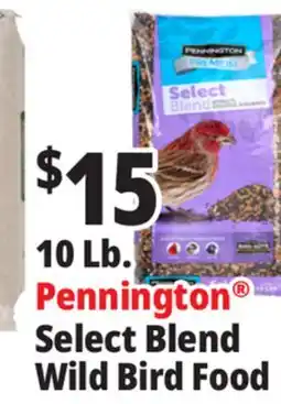 Ocean State Job Lot Pennington Premium Select Blend Bird Seed 10 lb offer