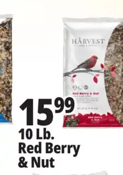 Ocean State Job Lot Harvest Seed & Supply Red Berry & Nut Wild Bird Food 10 lb offer