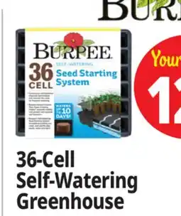 Ocean State Job Lot Burpee Self-Watering Seed Starting System 36-Cell offer