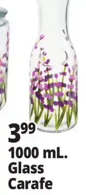 Ocean State Job Lot 1000 mL. Glass Carafe offer