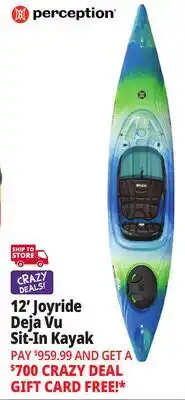Ocean State Job Lot Perception Joyride 12.0 Recreational Kayak Deja Vu offer