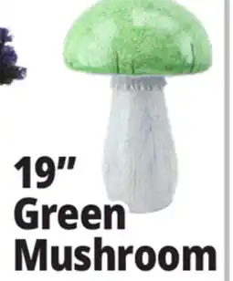 Ocean State Job Lot 19 Green Mushroom offer