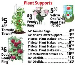 Ocean State Job Lot Plant Supports offer