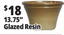 Ocean State Job Lot 13.75 Glazed Resin offer