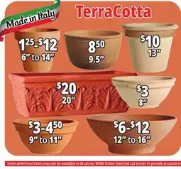 Ocean State Job Lot Terracotta Planters offer