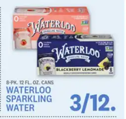 Kings Food Markets WATERLOO SPARKLING WATER offer
