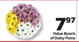 Weis Markets Value Bunch of Daisy Poms offer