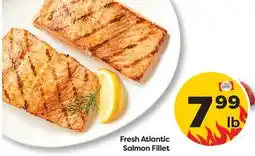 Weis Markets Fresh Atlantic Salmon Fillet offer