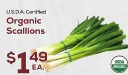DeCicco & Sons Organic Scallions offer