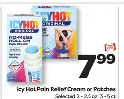 Weis Markets Icy Hot Pain Relief Cream or Patches offer