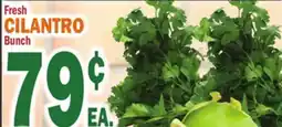 Bravo Supermarkets Cilantro offer