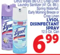 Bravo Supermarkets LYSOL DISINFECTANT SPRAY 12.5 Oz. Can offer