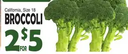 Bravo Supermarkets Broccoli offer