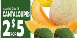 Bravo Supermarkets Cantaloupes offer