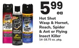 ACME Hot Shot Wasp & Hornet, Roach, Spider & Ant or Flying Insect Killer offer